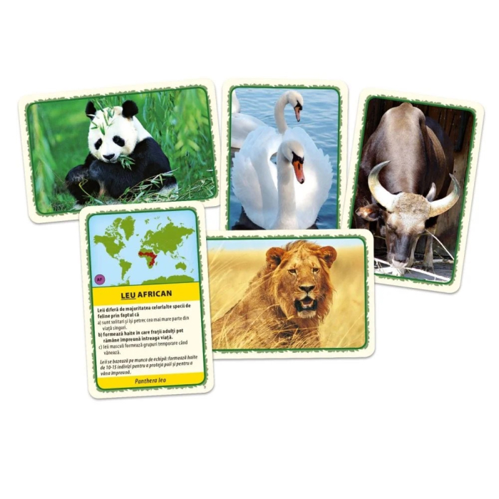 Joc educativ de societate Tactic - Animalele Lumii, limba romana, 2-6 jucatori, +8 ani [2]