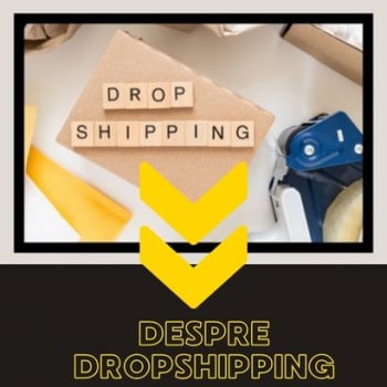 Despre afacerea de tip dropshipping