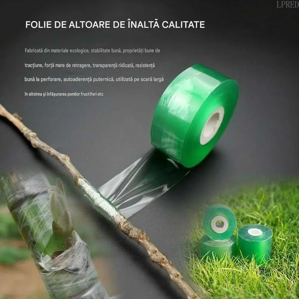 banda altoire pomi fructiferi transparenta enzoria [3]