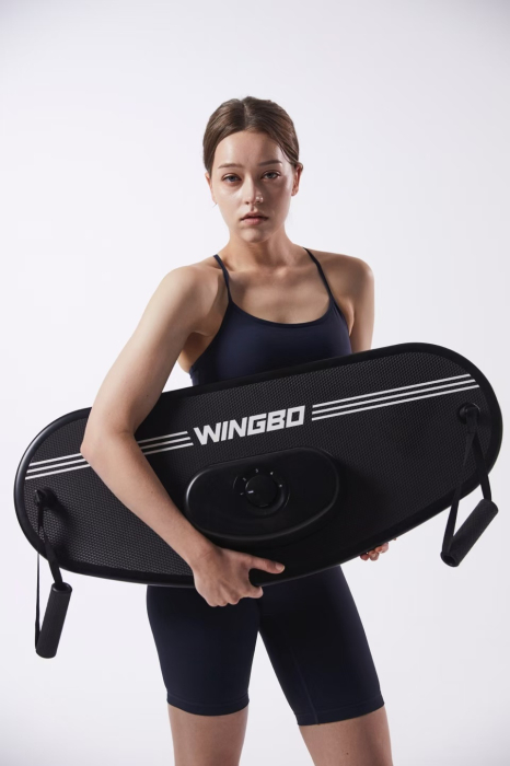 WINGBO BOARD PRIMA PLACA MULTIFUNCTIONALA DIN LUME [2]