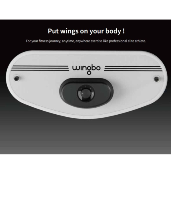 WINGBO BOARD PRIMA PLACA MULTIFUNCTIONALA DIN LUME [6]
