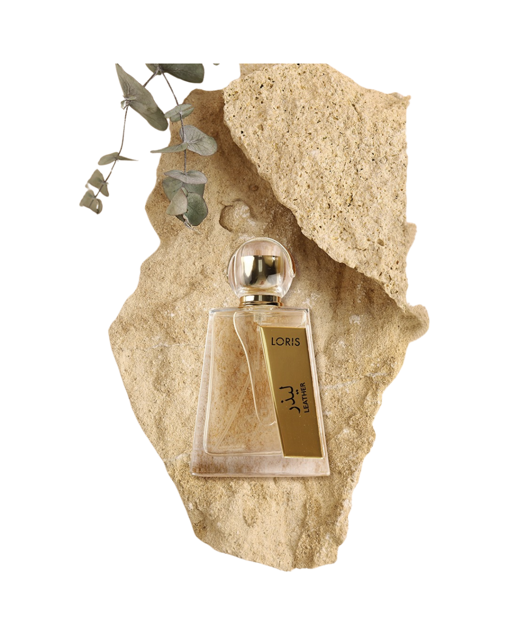 Loris Parfum Leather Apa De Parfum 100 ML – Parfum Femeiesc Pielos și Lemnos, Elegant și Sofisticat [1]