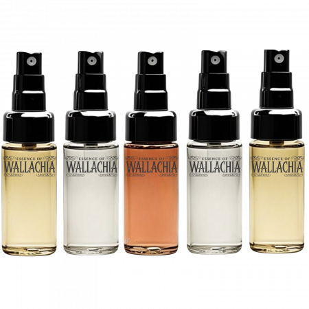 TOATE PARFUMURILE - Pachet personalizabil 5X5ml mostre