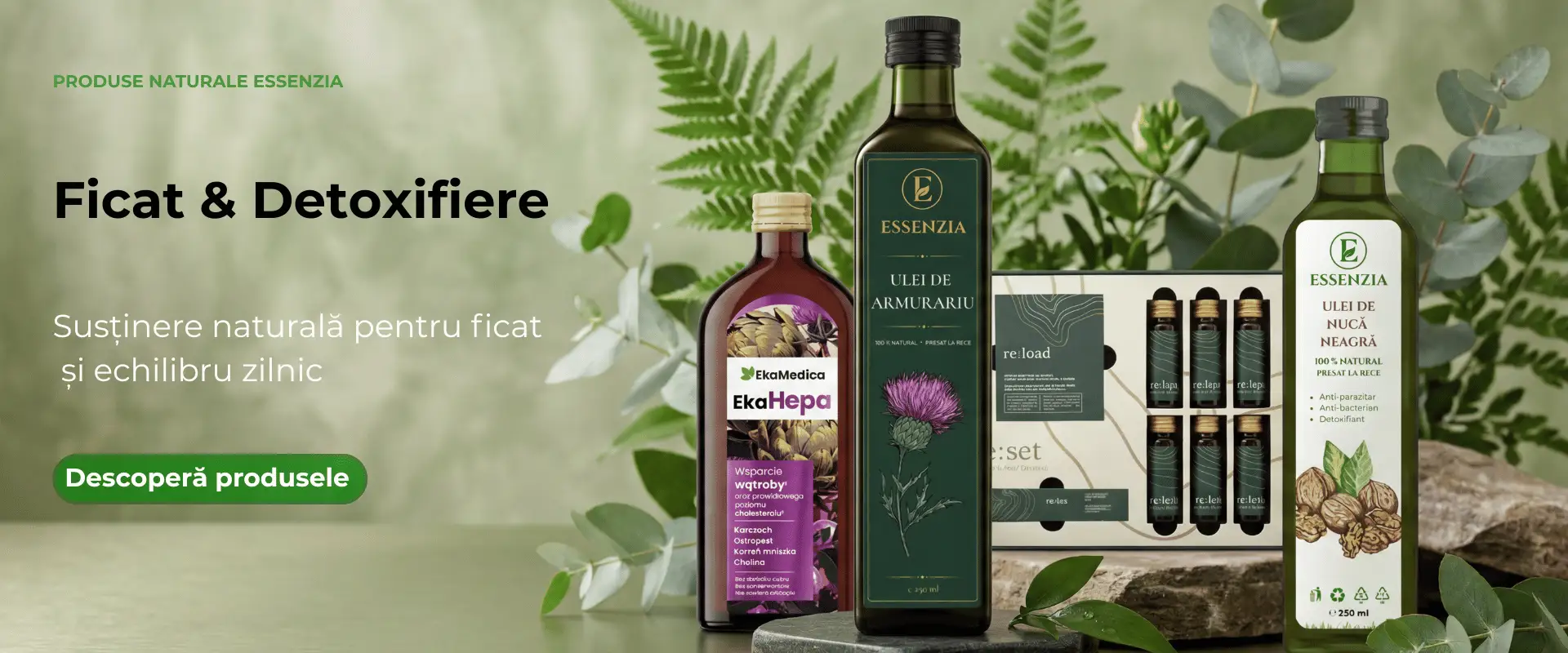 Ficat & Detoxifiere