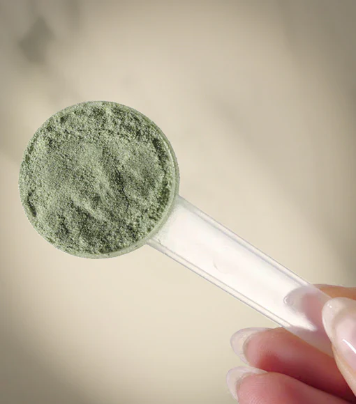 Herboxa Super Greens pudra superalimente verzi 300g [5]