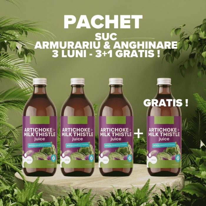 3 + 1 GRATIS Pachet 3 luni Suc de Armurariu si Anghinare  500 ml [1]