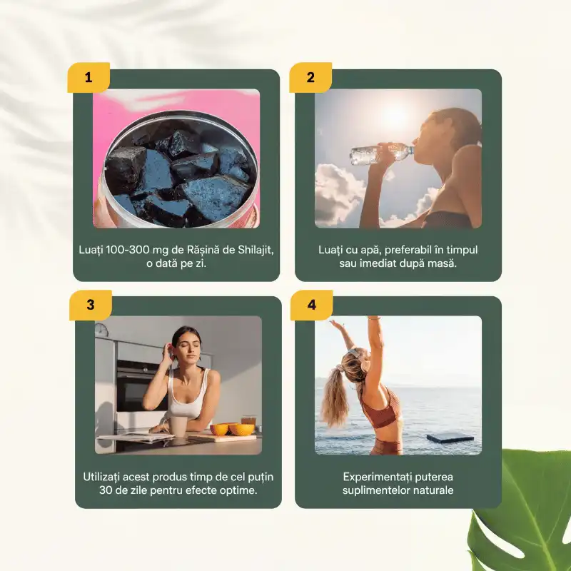 Rășină Shilajit Pură – Concentrat Natural pentru Vitalitate și Echilibru 50 g [5]