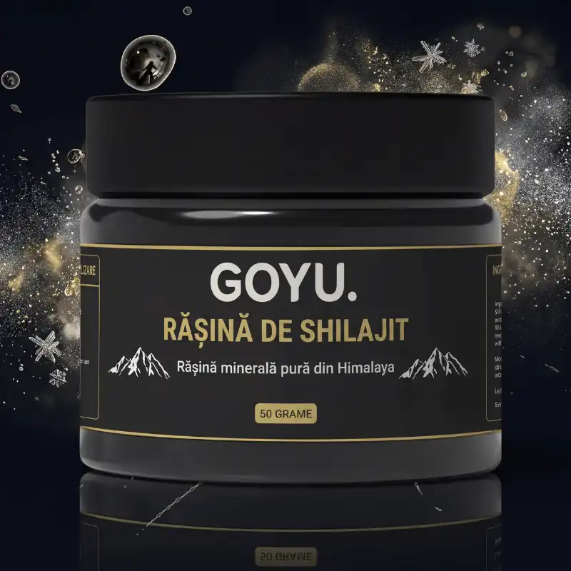 Rășină Shilajit Pură – Concentrat Natural pentru Vitalitate și Echilibru 50 g [1]