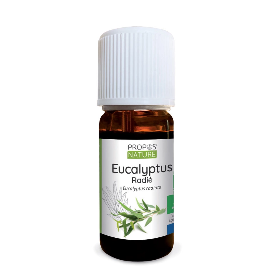 Uleiuri Esentiale - Ulei Esențial Organic de Eucalipt Radiata – 100% Pur și Natural, 10 ml