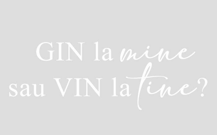 Tricou alb/negru „Gin la mine sau vin la tine?” – bumbac premium, design funny party vibe [2]