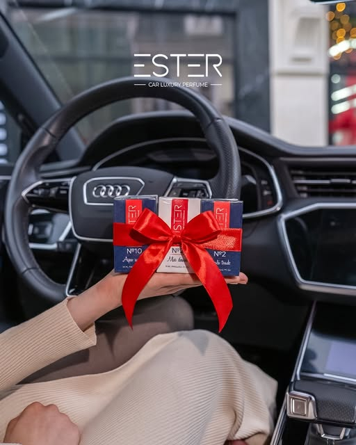 Aventură, Eleganță și Putere [2]