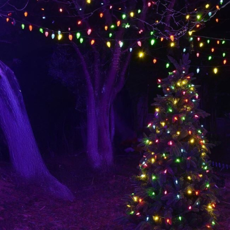 Instalatie de Lumini cu 100 de Becuri LED Conuri de Interior & Exterior 9.90m - Multicolor [2]