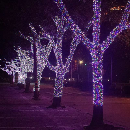 Instalație Liniară 6m de Crăciun pe Baterii cu 50 LED-uri Multicolore, Fir Transparent [2]