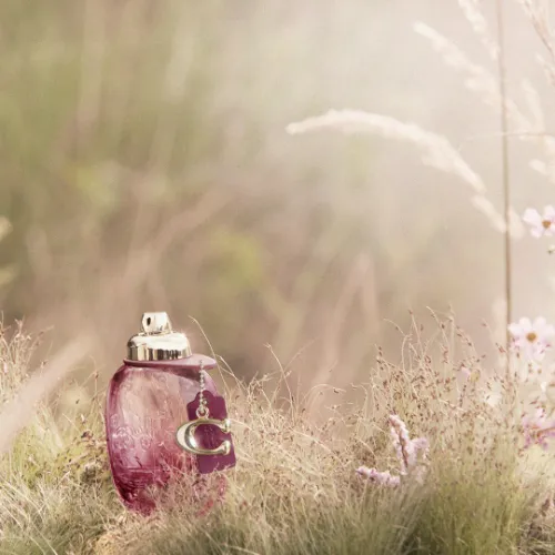 Coach Wild Rose Apa de Parfum 30 Ml Femei | Eterna Beauty [4]