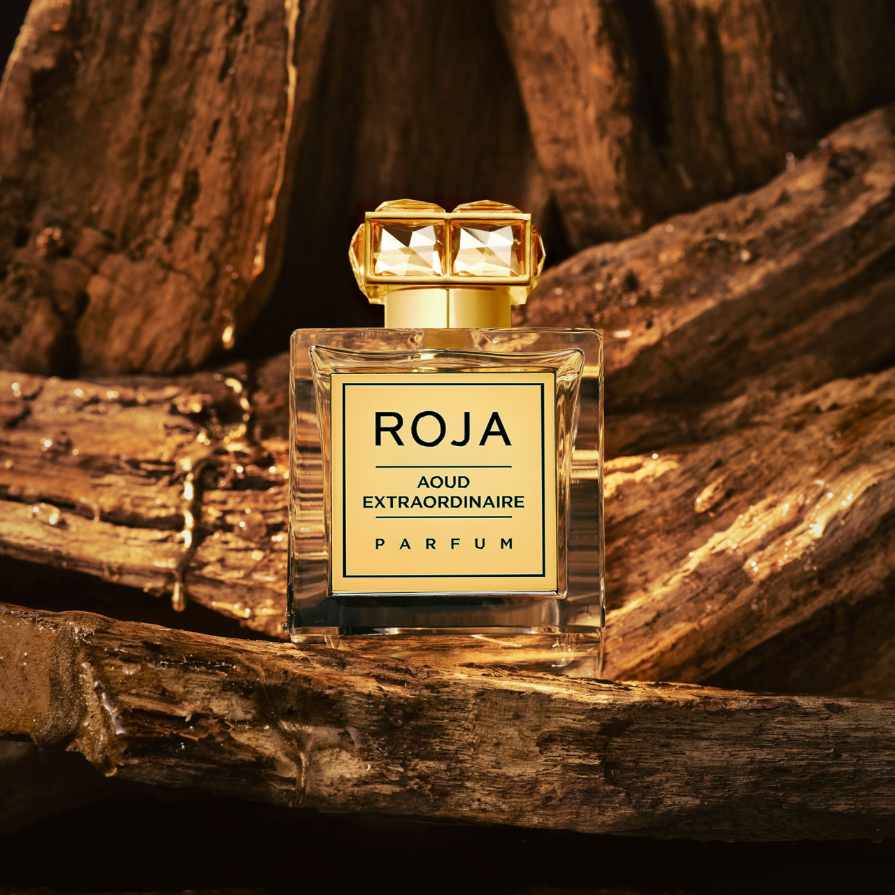 Roja Aoud Extraordinaire Parfum 100 ml Unisex - Eterna Beauty [3]