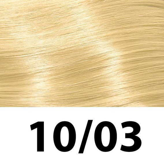 Subrina Professional Essential Colour 10/03  Vopsea de par permanenta Blond Natural Deschis Luminos Cendre 100 ml - Eterna Beauty [2]
