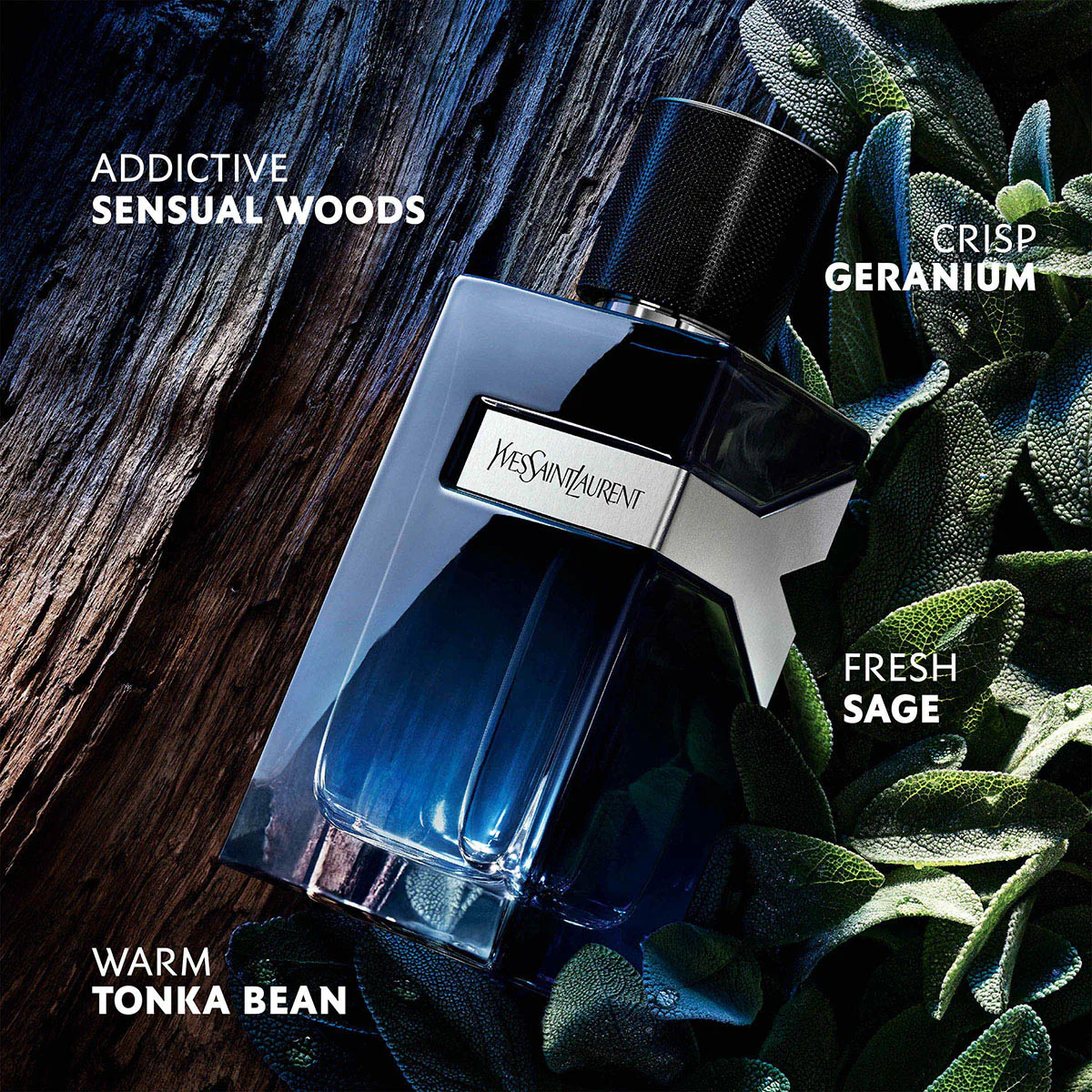 YSL Y Homme - Set Cadou (Apa de parfum 100 ml + Apa de parfum 10 ml) Barbati - Eterna Beauty [4]