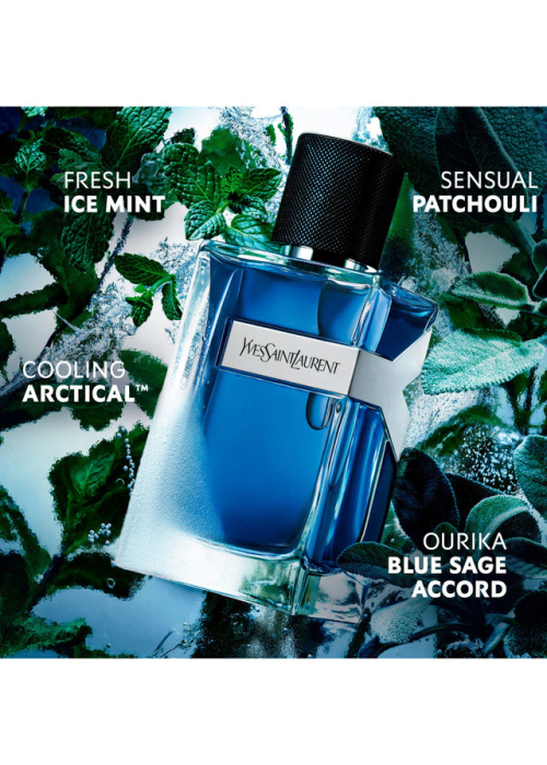 Yves Saint Laurent Y Iced Cologne - Apa de Toaleta Intense 100 ml Barbati - Eterna Beauty [3]