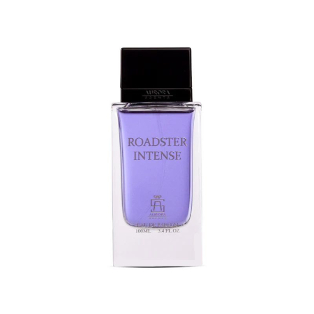Aurora Scent Roadstar Intense Apa de Parfum 100ml barbati | Eterna Beauty