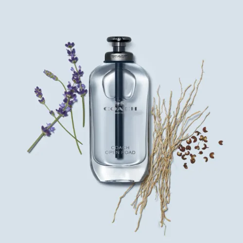 Coach Open Road Apa de Toaleta 100 ml Barbati | Eterna Beauty [3]