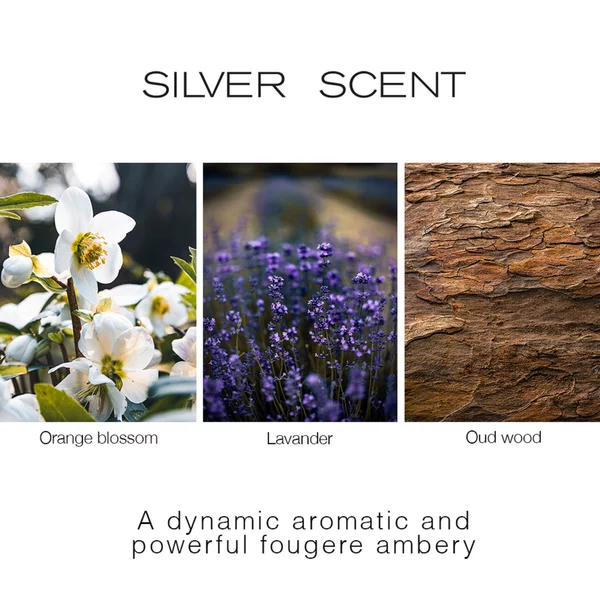 Jacques Bogart Silver Scent - Apă de Toaletă, 30 ml, Bărbați - imagine principală [2]