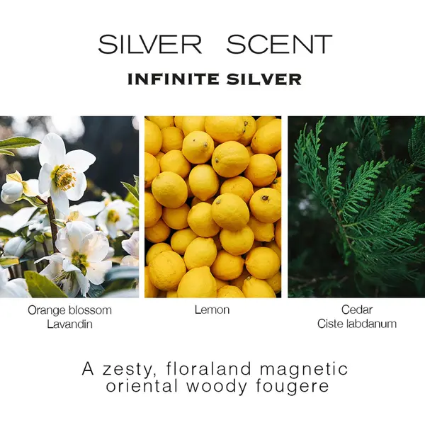 Jacques Bogart Silver Scent Infinite Silver - Apă de Toaletă, 100 ml, Bărbați - imagine principală [2]