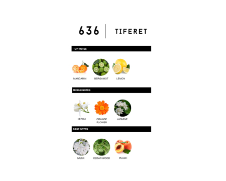 Labor8 TIFERET 636 Apa de Parfum 100 Ml Unisex | Eterna Beauty [2]