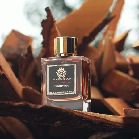 Ministry Of Oud Strictly Oud Extrait de Parfum 100 ml Unisex | Eterna Beauty [2]