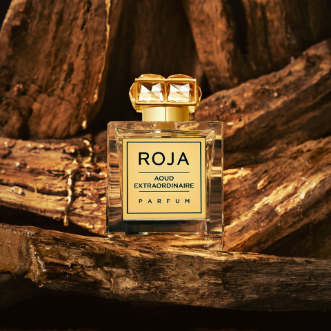 Roja Aoud Extraordinaire Parfum 100 ml Unisex - Eterna Beauty [2]