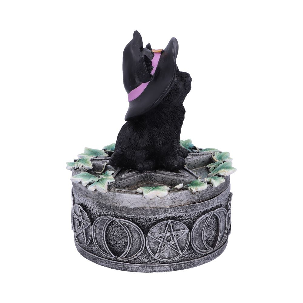 Cutie decorativa Ivy Familiar Box – Pisica neagra cu iedera [6]