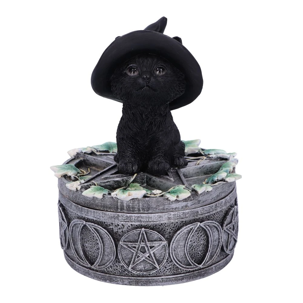 Cutie decorativa Ivy Familiar Box – Pisica neagra cu iedera [2]