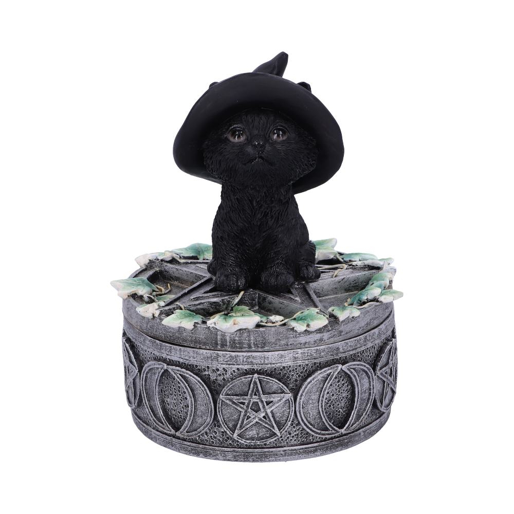 Cutie decorativa Ivy Familiar Box – Pisica neagra cu iedera [3]