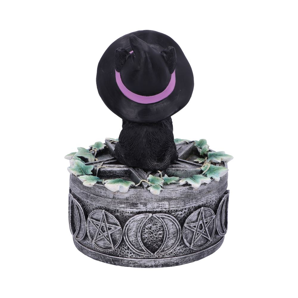 Cutie decorativa Ivy Familiar Box – Pisica neagra cu iedera [5]