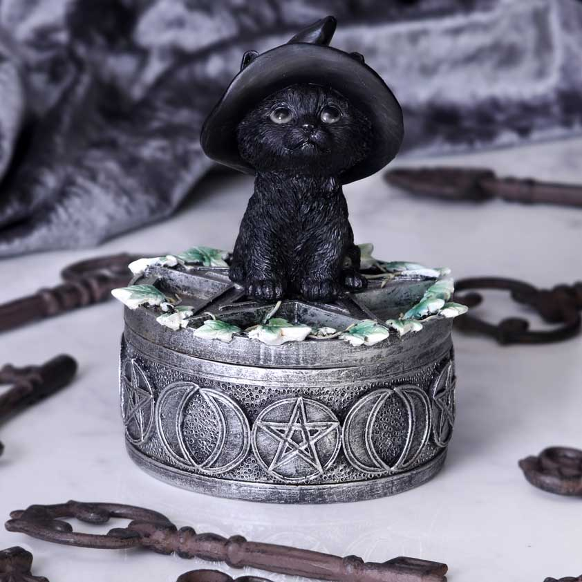 Cutie decorativa Ivy Familiar Box – Pisica neagra cu iedera [1]