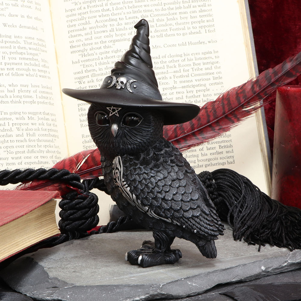 Owlocen Witches Hat Occult Owl Figurine [1]