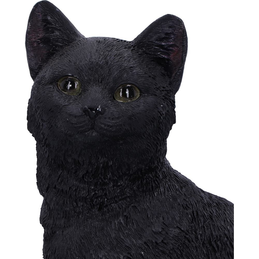 Figurină Familiar Fate – Pisică Neagră Vrăjitorească și Craniu, 24.3 cm [8]
