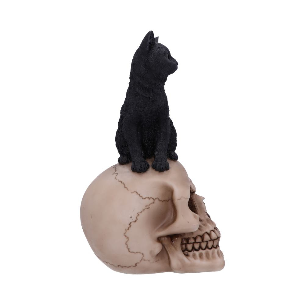 Figurină Familiar Fate – Pisică Neagră Vrăjitorească și Craniu, 24.3 cm [6]
