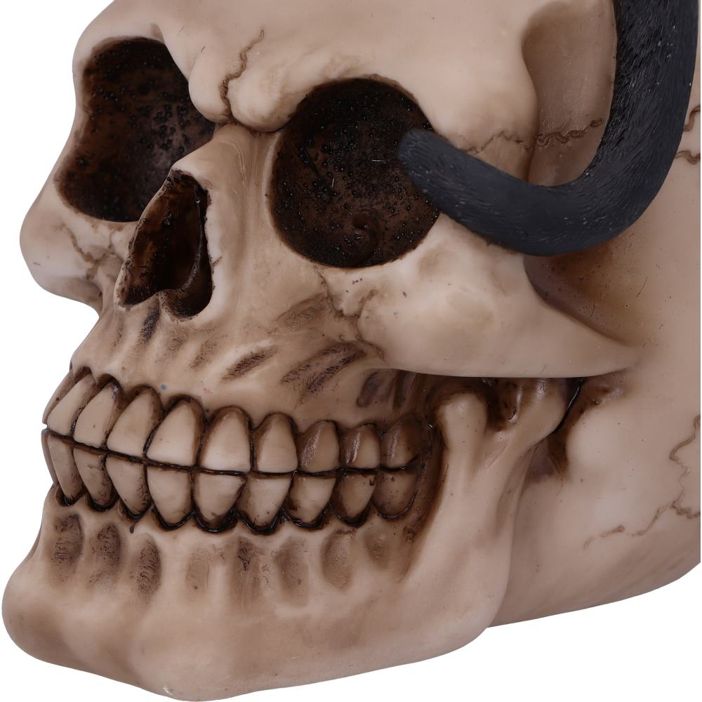 Figurină Familiar Fate – Pisică Neagră Vrăjitorească și Craniu, 24.3 cm [7]