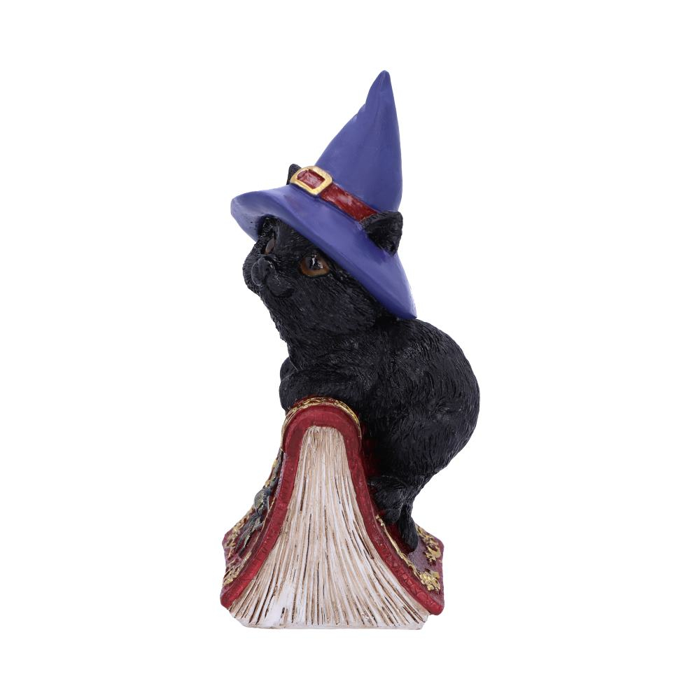 Figurină Hocus – Pisică Neagră Familiară și Carte de Vrăji, 12,7 cm [4]