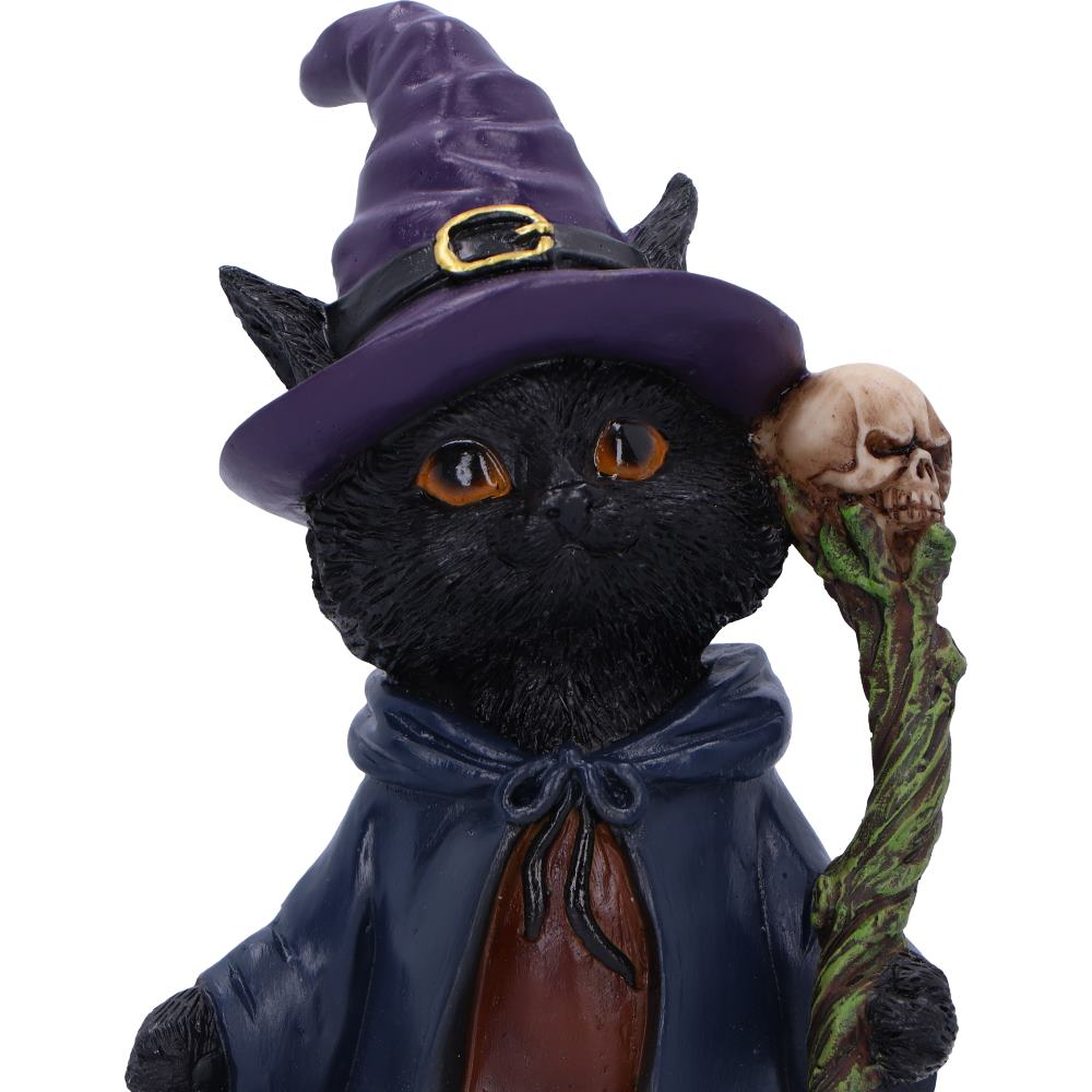 Figurina pisica vrajitor "Whiskered Wizard" [3]