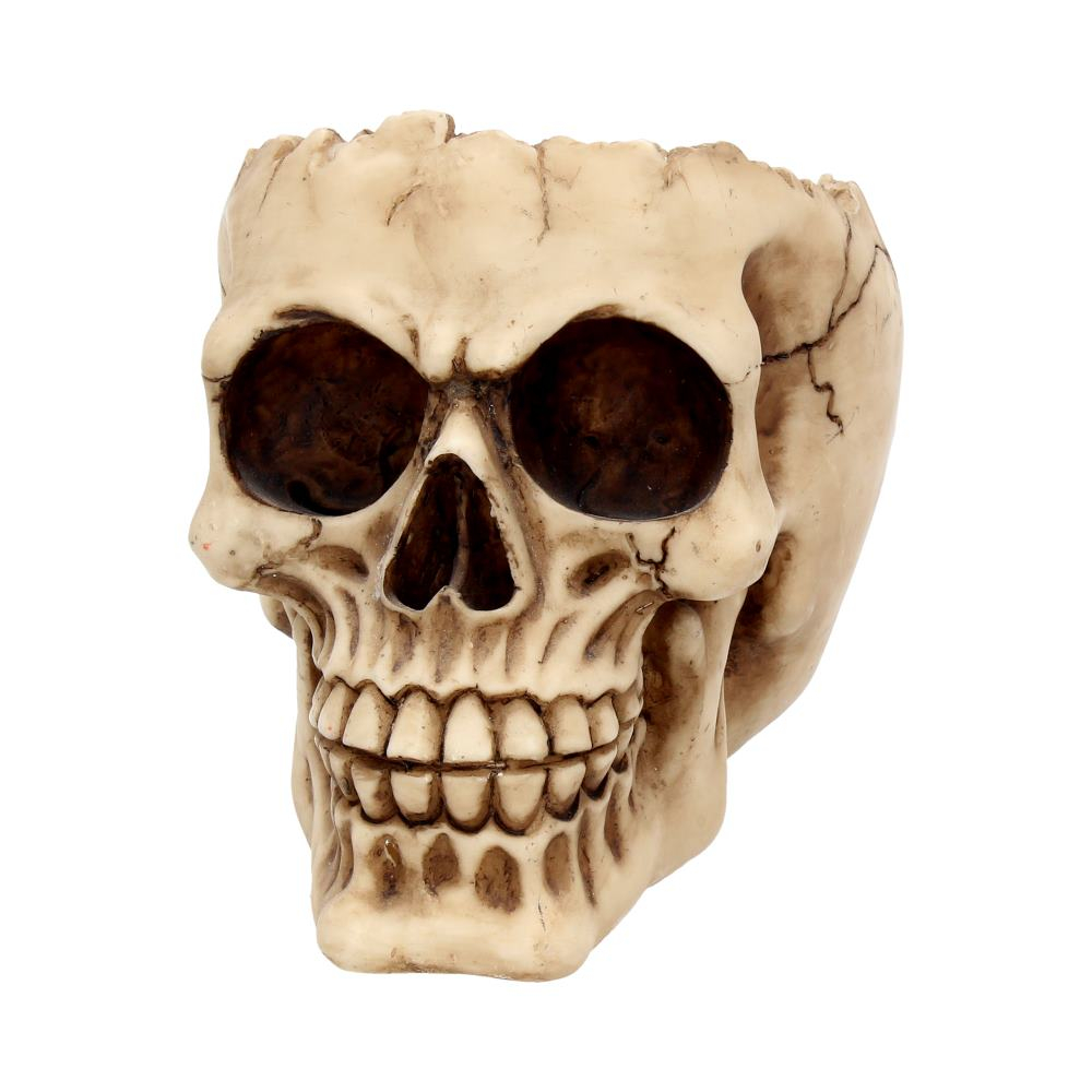 Ornament "Lobo Skull" - Craniu Uman Decorativ [4]
