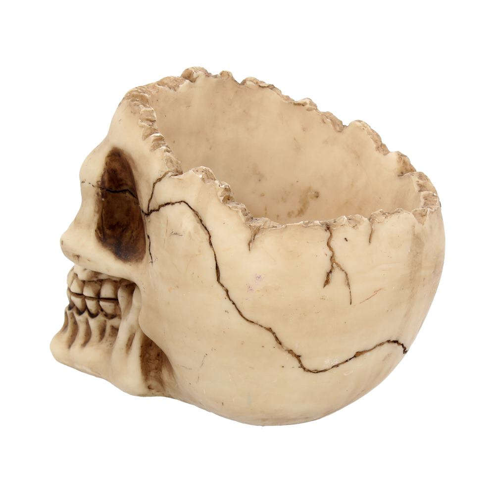 Ornament "Lobo Skull" - Craniu Uman Decorativ [6]