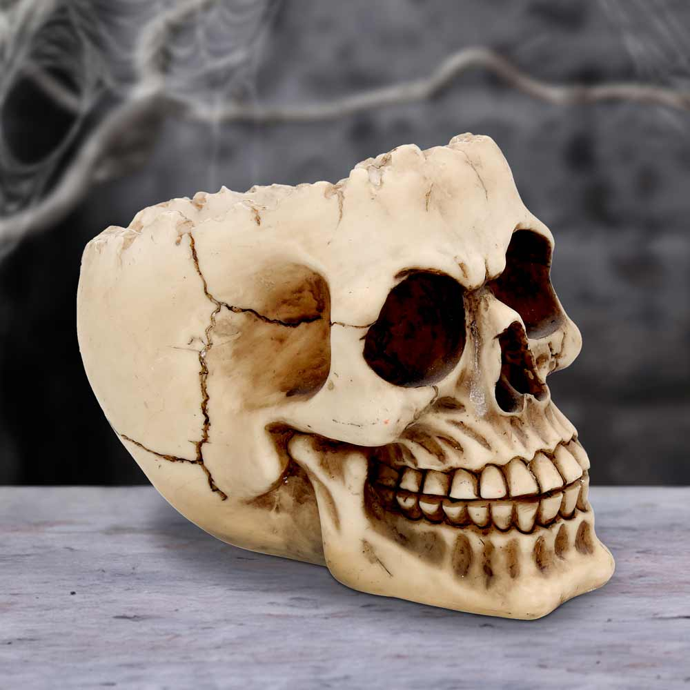Ornament "Lobo Skull" - Craniu Uman Decorativ [1]