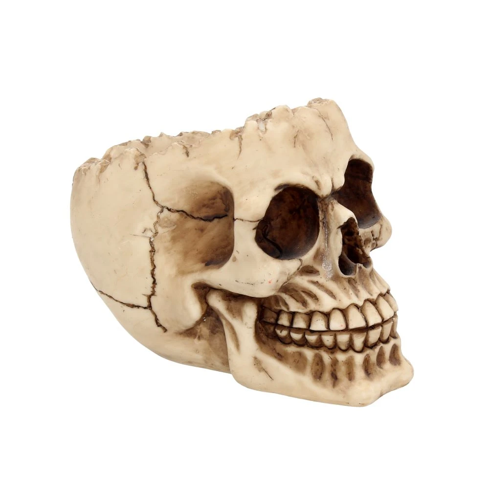 Ornament "Lobo Skull" - Craniu Uman Decorativ [2]