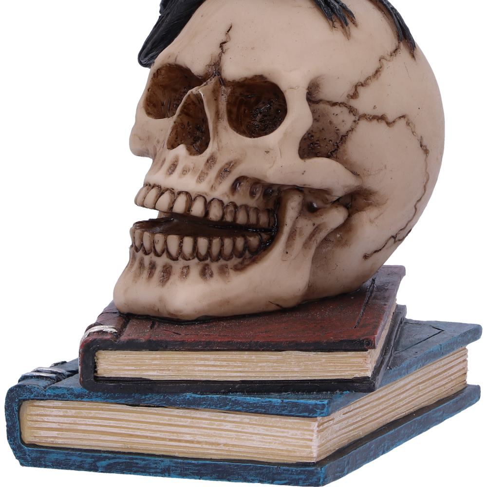 Raven's Spell – Figurina Gotica cu Corb si Craniu [7]