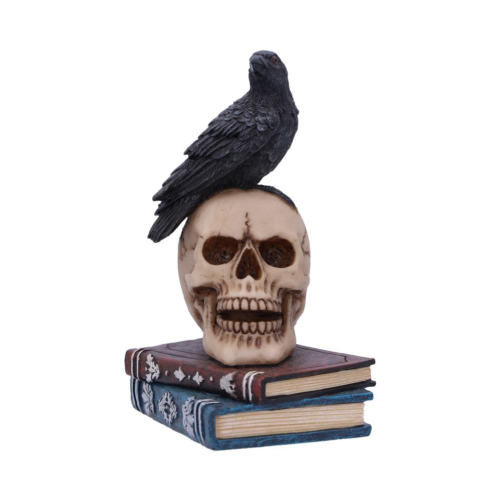 Raven's Spell – Figurina Gotica cu Corb si Craniu [4]