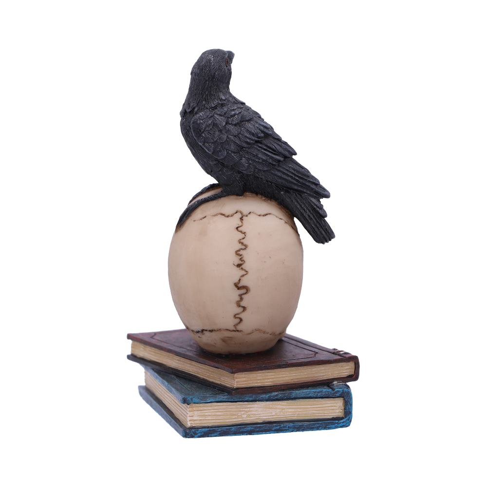 Raven's Spell – Figurina Gotica cu Corb si Craniu [6]