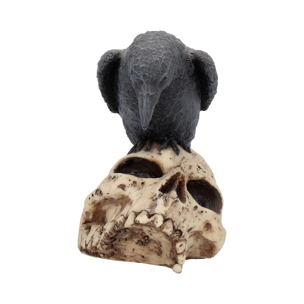 Ravens Remains – Decor Gotico-Macabrul Perfect [8]