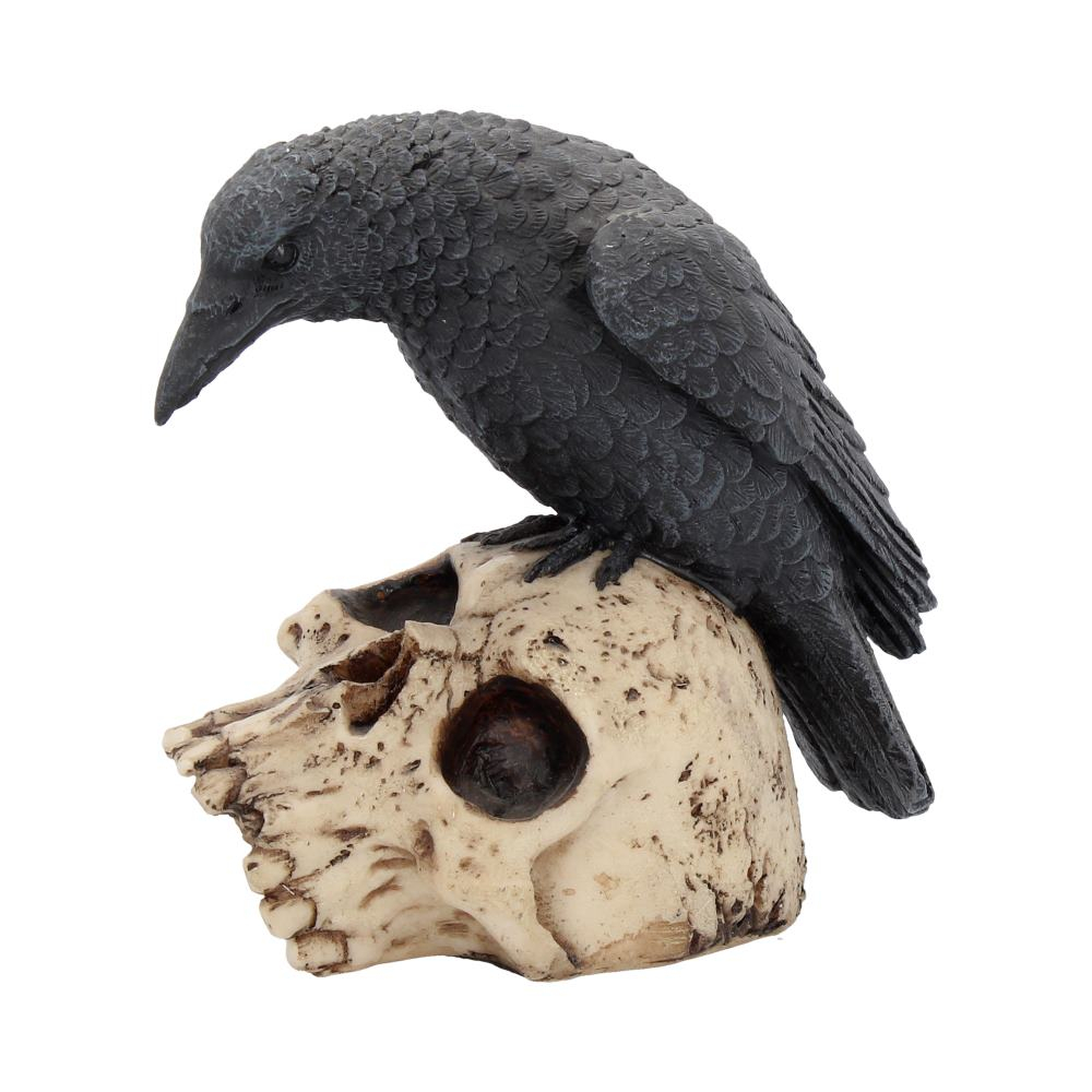 Ravens Remains – Decor Gotico-Macabrul Perfect [3]