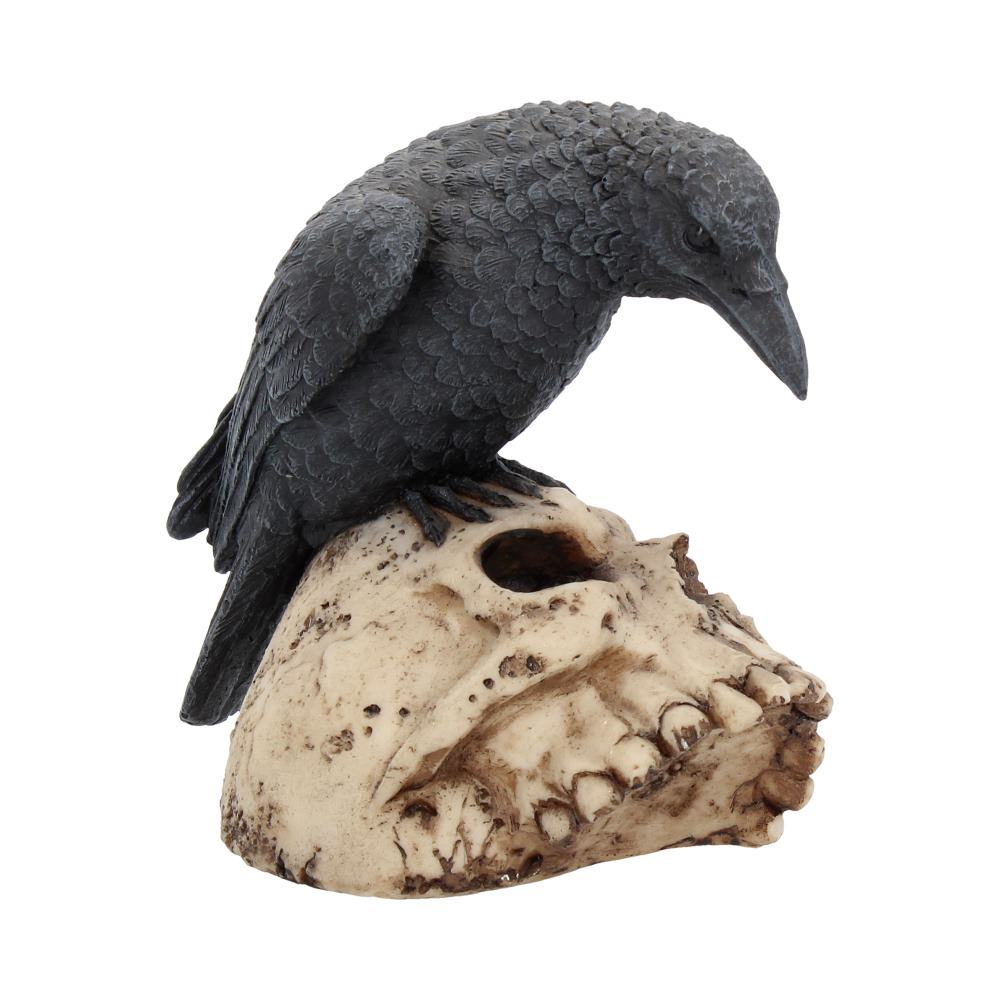 Ravens Remains – Decor Gotico-Macabrul Perfect [7]